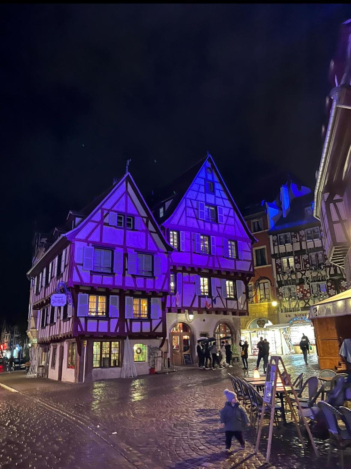 Ferienwohnung Colmar - Le Nichoir - Centre Historique - Parking Gratuit - Box Velo & Poussette Exterior foto